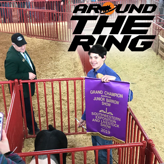 Around the Ring
