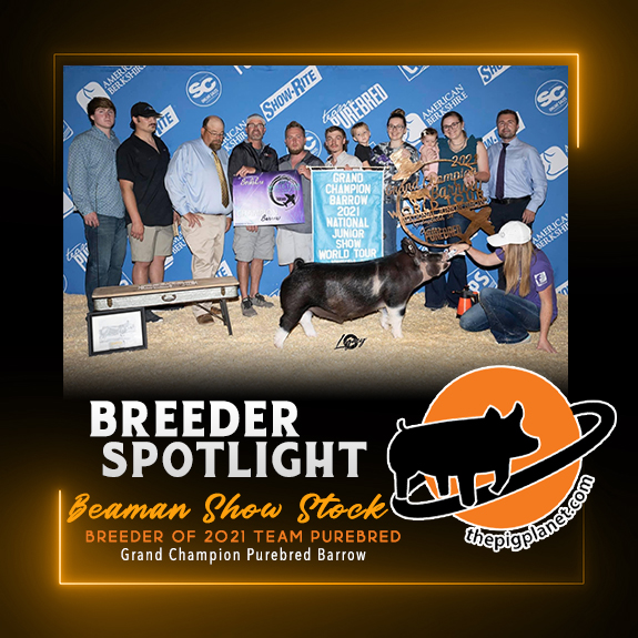 Keri Landry Exhibitor Spotlight - The Pig Planet