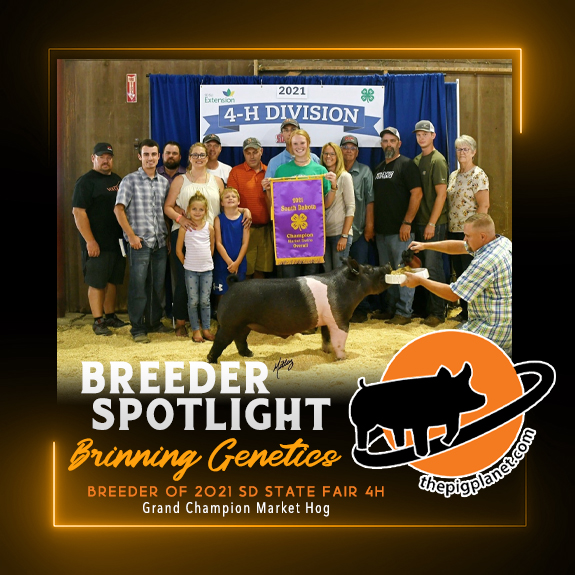 Keri Landry Exhibitor Spotlight - The Pig Planet