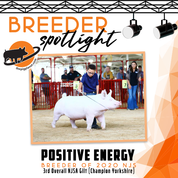 Keri Landry Exhibitor Spotlight - The Pig Planet