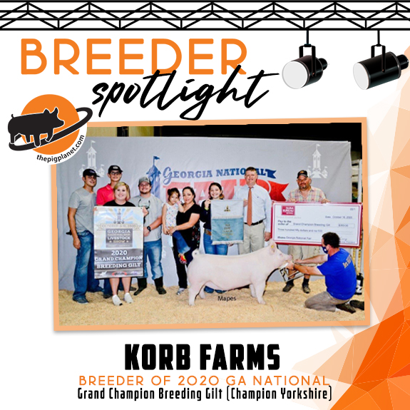Keri Landry Exhibitor Spotlight - The Pig Planet