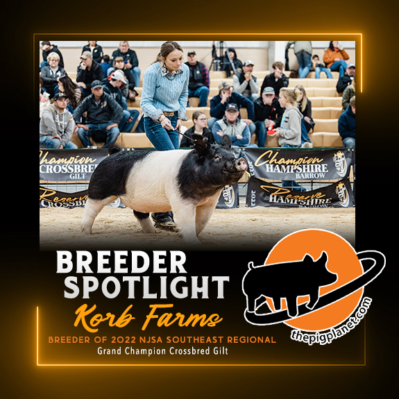 Keri Landry Exhibitor Spotlight - The Pig Planet