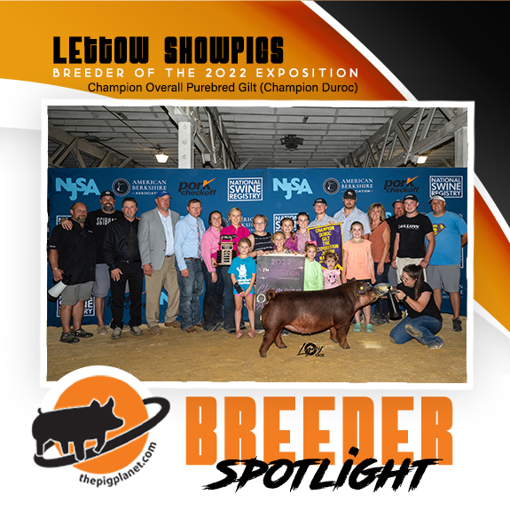 Keri Landry Exhibitor Spotlight - The Pig Planet