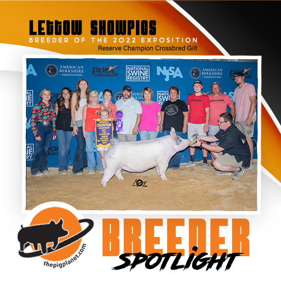 Keri Landry Exhibitor Spotlight - The Pig Planet