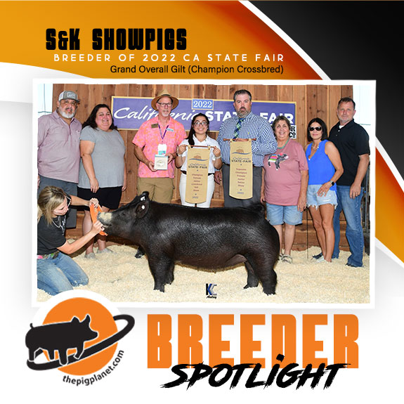 Keri Landry Exhibitor Spotlight - The Pig Planet