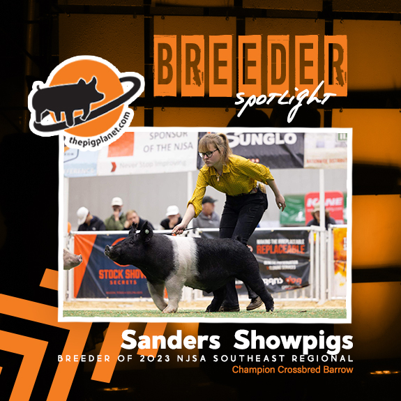 Keri Landry Exhibitor Spotlight - The Pig Planet