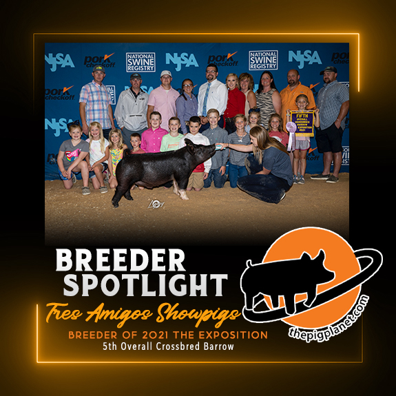 Keri Landry Exhibitor Spotlight - The Pig Planet