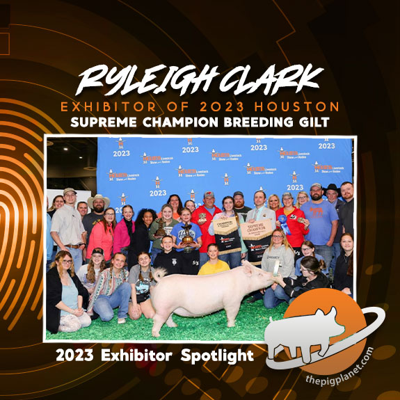 Keri Landry Exhibitor Spotlight - The Pig Planet