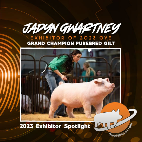 Keri Landry Exhibitor Spotlight - The Pig Planet
