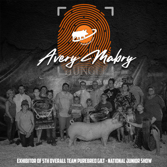 Avery Mabry Exhibitor Spotlight - The Pig Planet