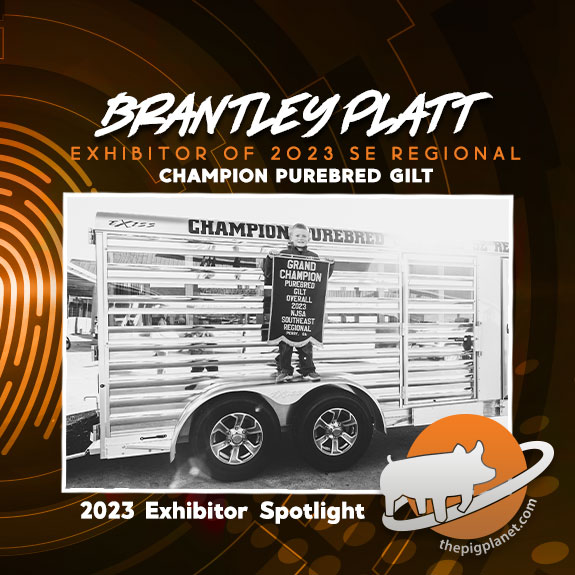 Keri Landry Exhibitor Spotlight - The Pig Planet