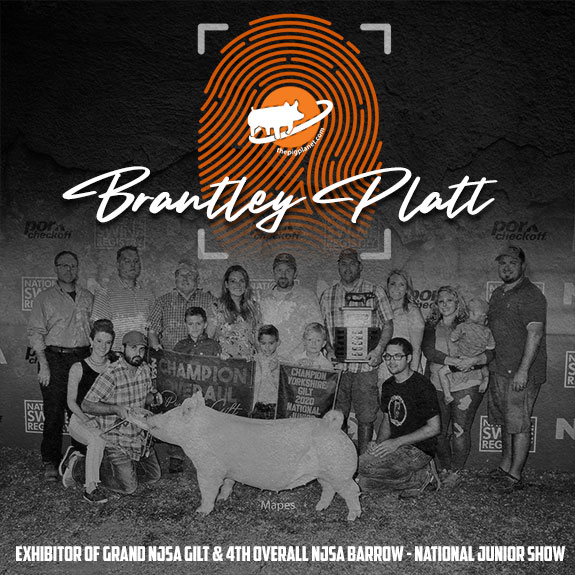 Keri Landry Exhibitor Spotlight - The Pig Planet