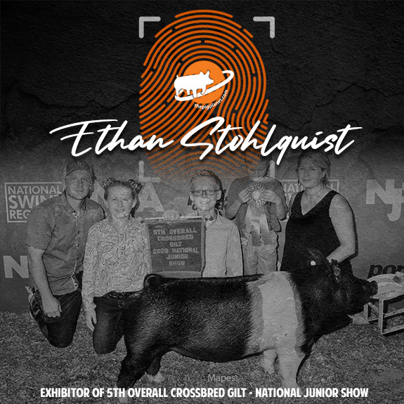 Keri Landry Exhibitor Spotlight - The Pig Planet