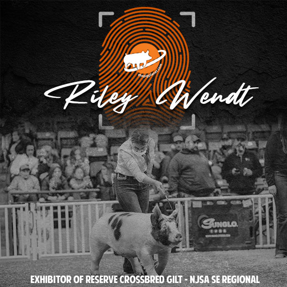 Keri Landry Exhibitor Spotlight - The Pig Planet