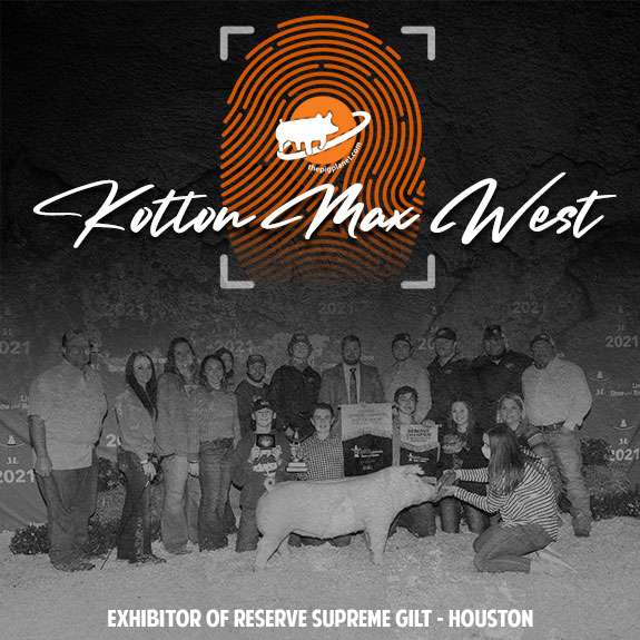 Keri Landry Exhibitor Spotlight - The Pig Planet
