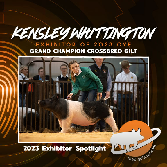 Keri Landry Exhibitor Spotlight - The Pig Planet