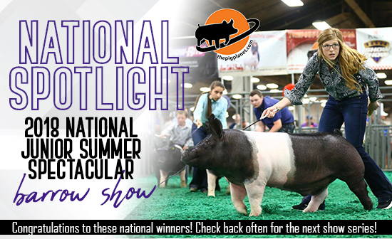 National Spotlight