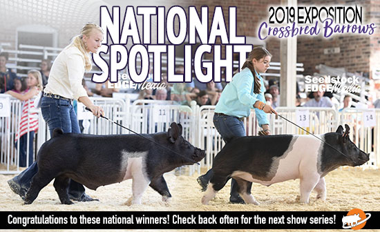 National Spotlight