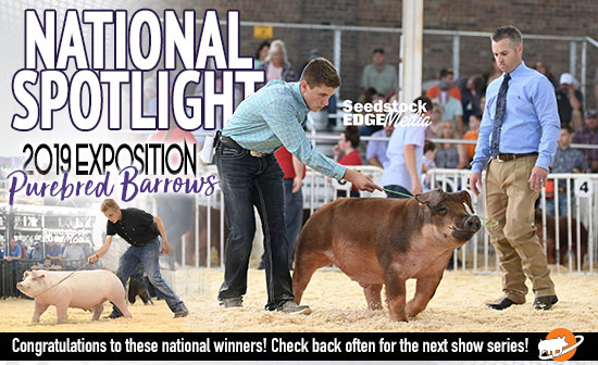 National Spotlight