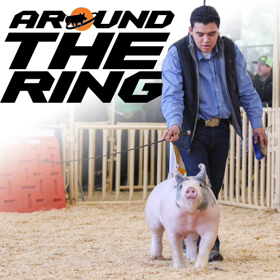 Inside the Ring with Brian Arnold
