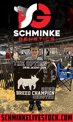 Schminke
