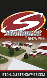 Stohlquist
