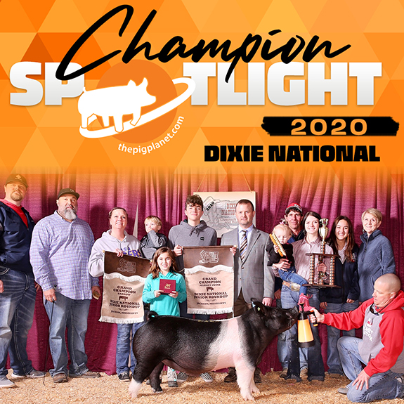 ThePigPlanet Champion Spotlight - Dixie National Grand