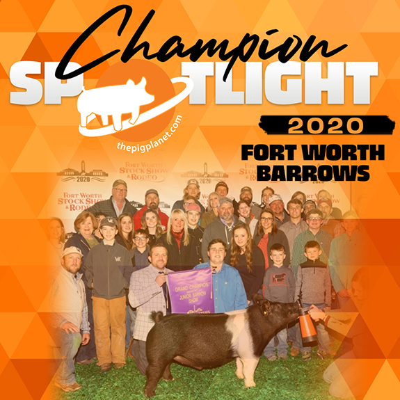 CHAMPION SPOTLIGHT: LSU GILT