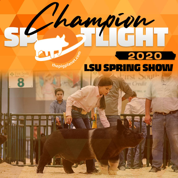 Champion Spotlight - LSU Livestock Spring Show
