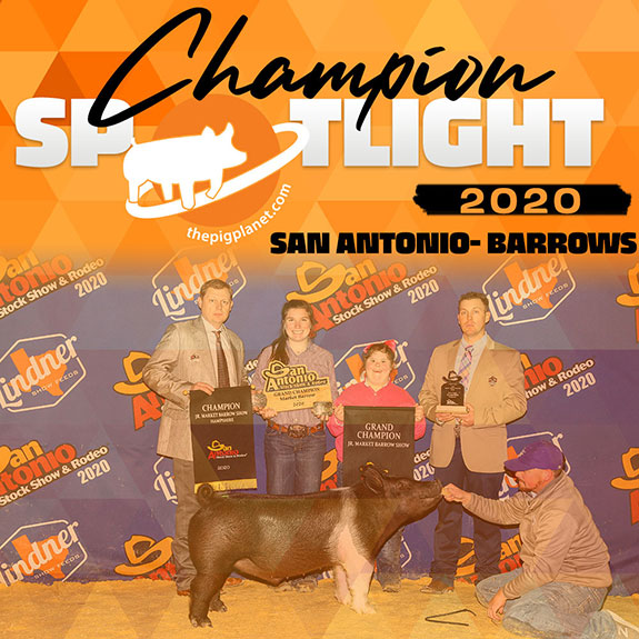 Champion Spotlight - San Antonio Stock Show
