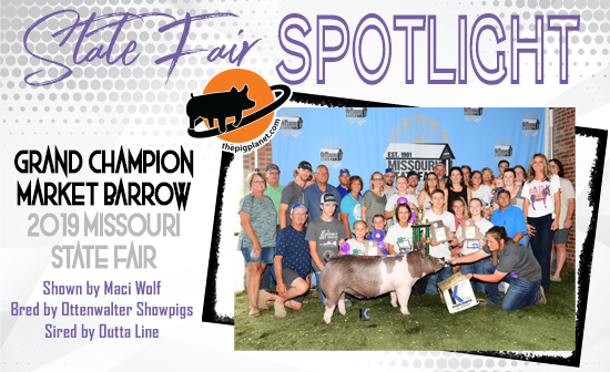 State Fair Spotlight