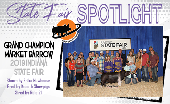 State Fair Spotlight