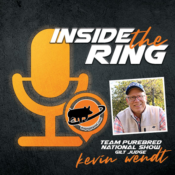 Keri Landry Exhibitor Spotlight - The Pig Planet