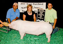 Team Purebred National Jr Summer Show Winner