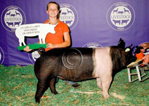 Michigan Livestock Expo Winner