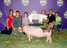 Michigan Livestock Expo Winner