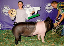 Michigan Livestock Expo Winner