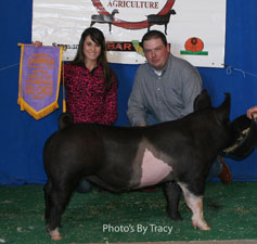 Reserve Champion Progress - Circle of Champions, Chico CA