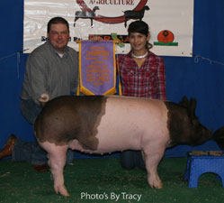 Reserve Champion Market Division - Circle of Champions, Chico CA
