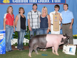 Champion 4-H Market Hog - California State Fair