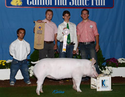 Reserve Champion 4-H Market Hog - California State Fair