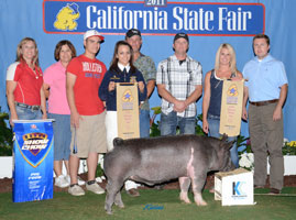 Grand Overall and Champion FFA - California State Fair