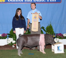 Reserve Grand Overall and Reserve FFA - California State Fair