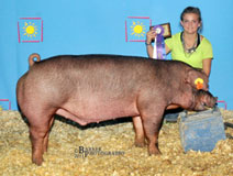 CO State Fair