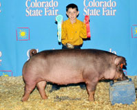 CO State Fair
