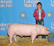 CO State Fair