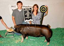 Team Purebred National Jr Summer Show Winner