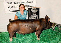 Team Purebred National Jr Summer Show Winner