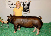 Team Purebred National Jr Summer Show Winner