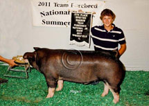 Team Purebred National Jr Summer Show Winner